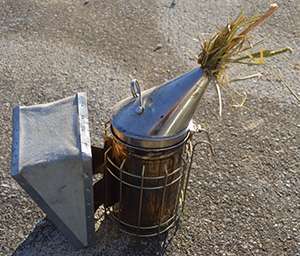 a bee smoker with a twist of grass inserted in the spout to conserve the fire