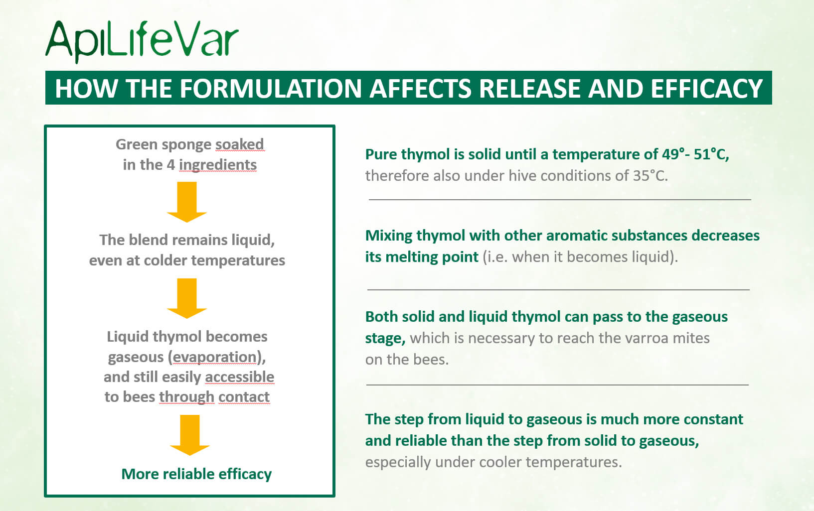 Chart showing the science behind how the solid and liquid versions of thymol work together to kill varroa mites