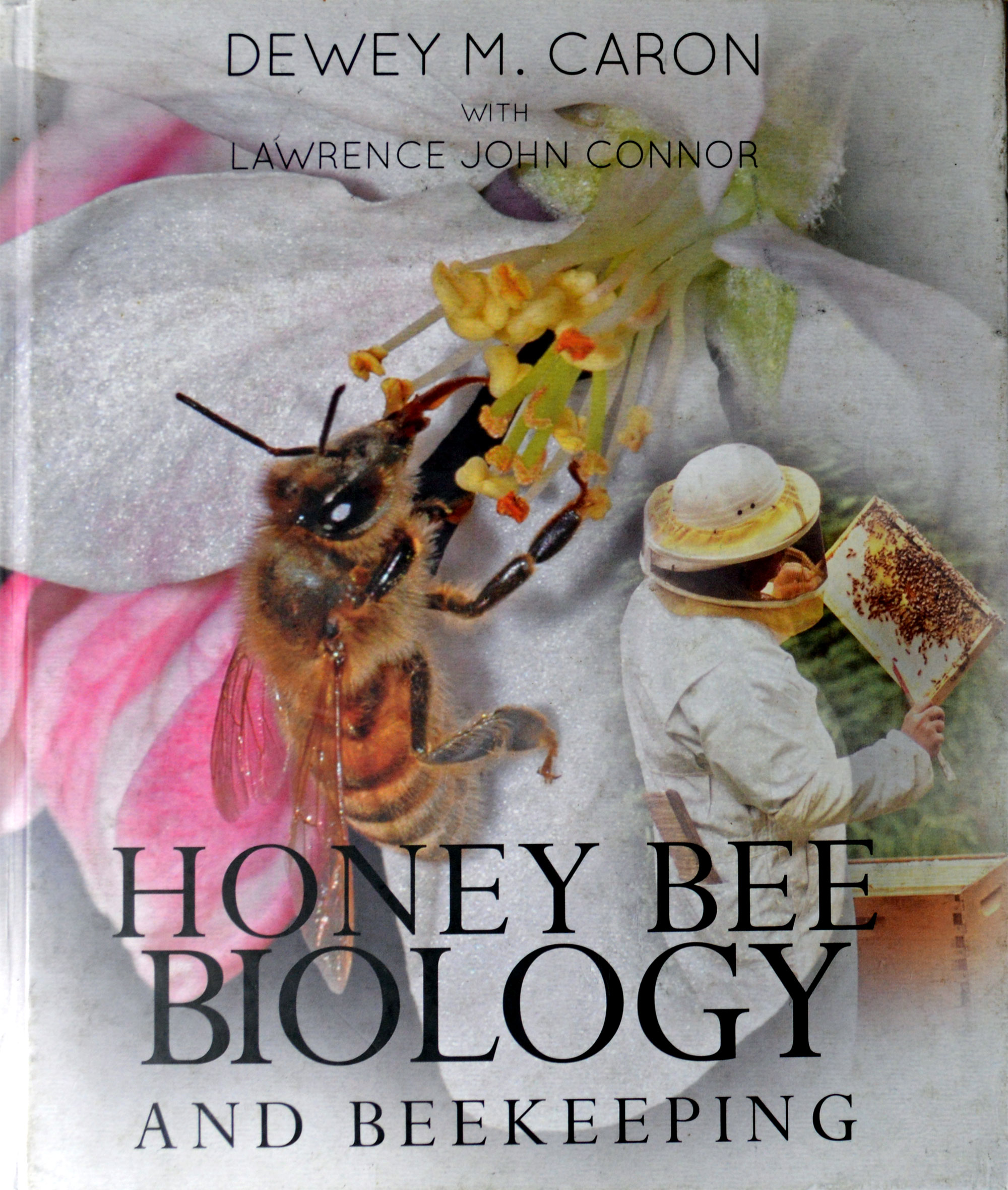 The cover of Honey Bee Biology and Beekeeping