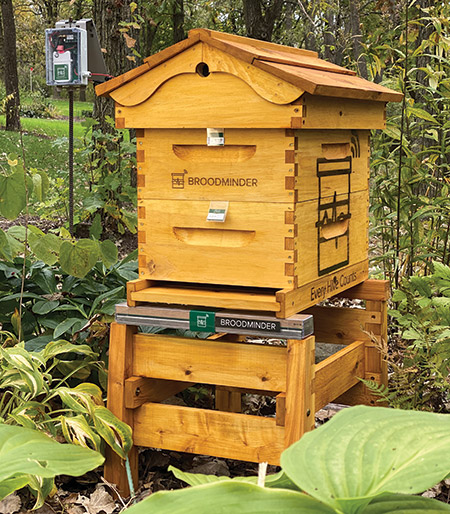 A complete BroodMinder hive