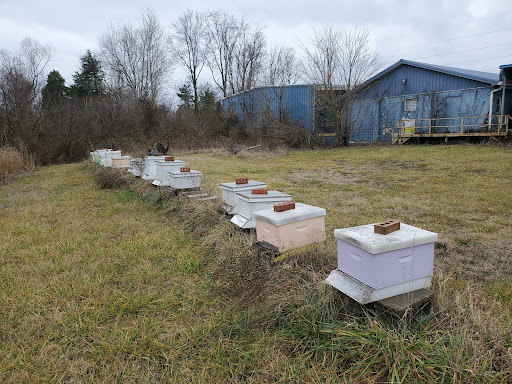 A Dogwood Ridge apiary, behind their store at 6200 N. IN-61, Boonville, IN