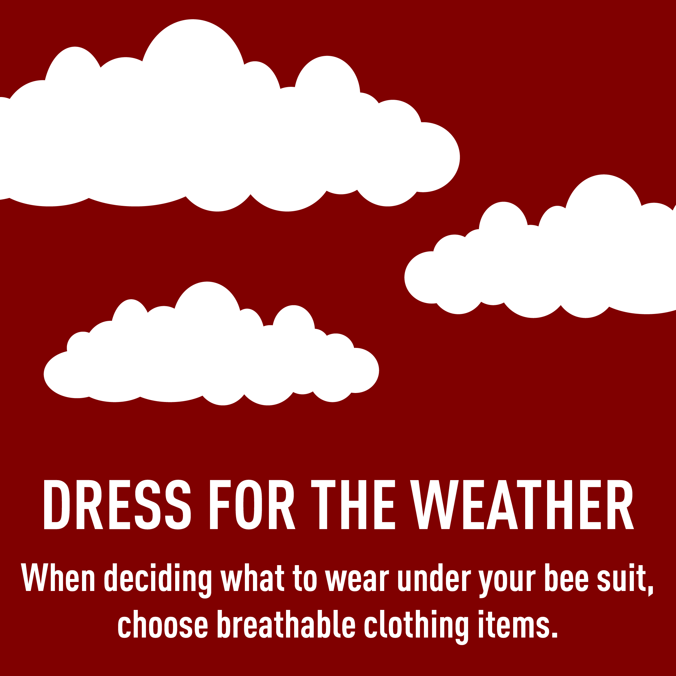 Dress for the weather graphic