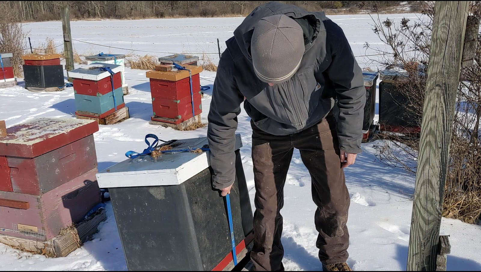 Hefting one side of a hive will give you a sense of how much honey the bees have.