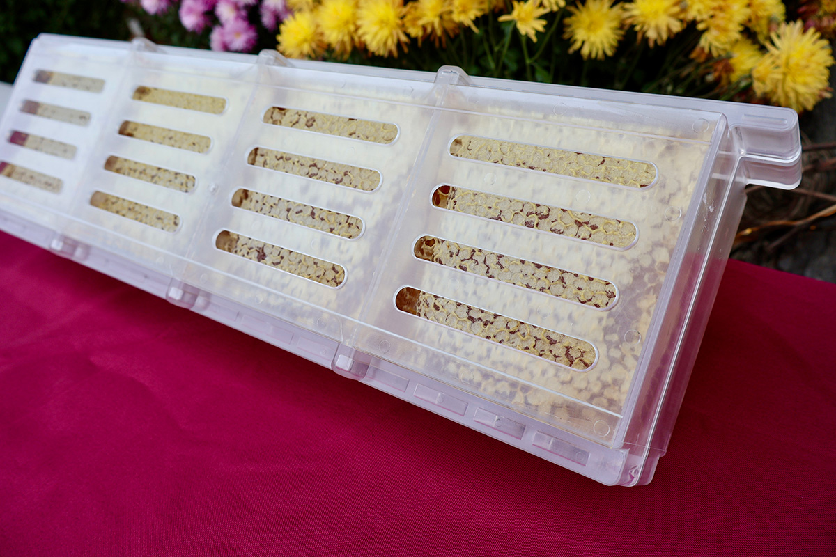 Shows the new Hogg Halfcomb plastic frame