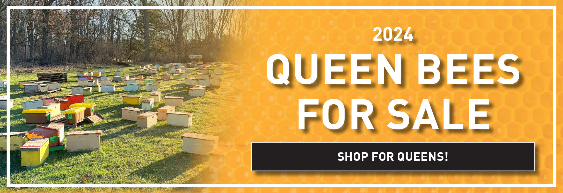 Beekeeping Supplies & Education Betterbee