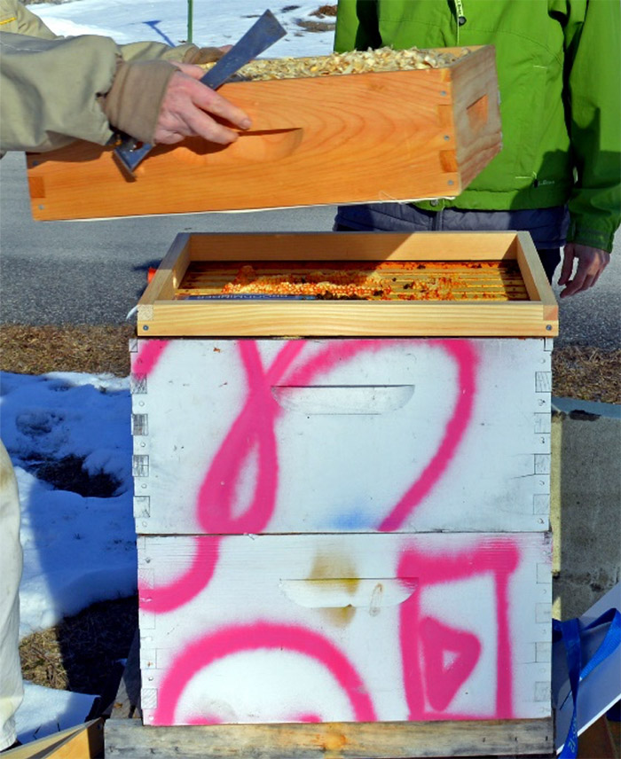A quilt box being added to a bee hive