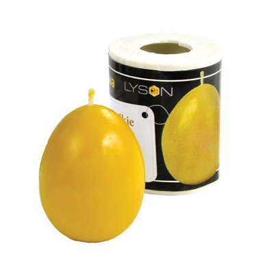 Small Smooth Egg Candle Mold
