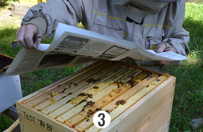Lay two pieces of newspaper down on top of the upper box of the lower section.