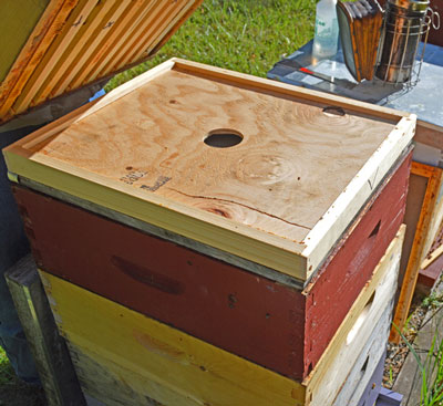 top of a triangle escape in the hive