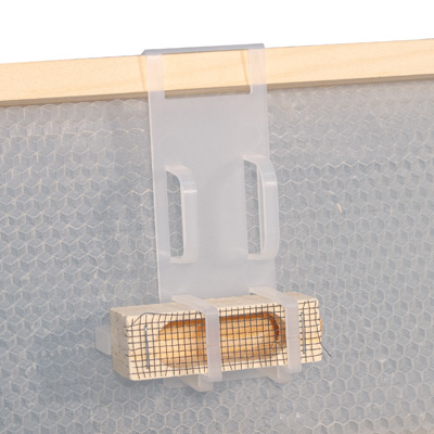 Queen Cage Holder