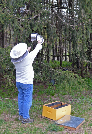 a beekeeper banging a pot and lit together near a hive
