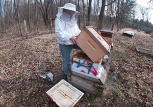Tip-up swarm check.