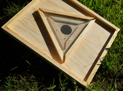 Underside of triangle escape board