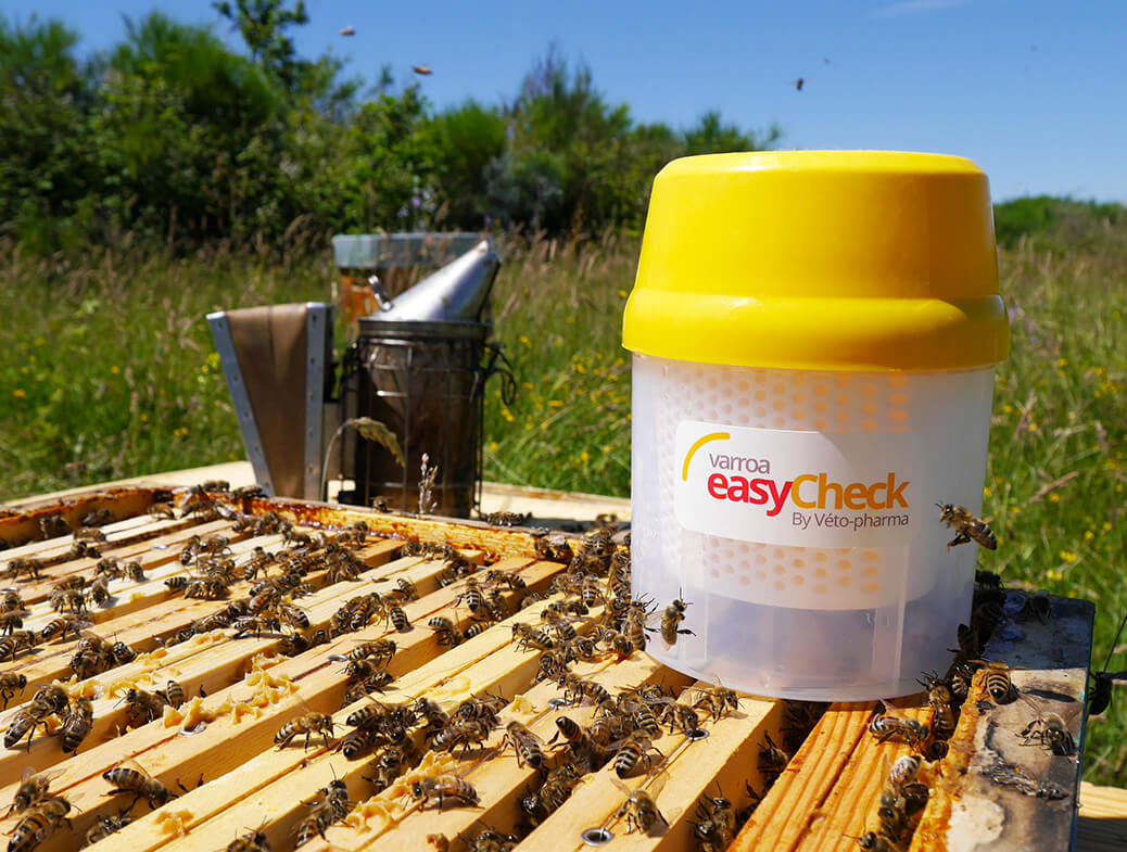 Varroa Easy Check