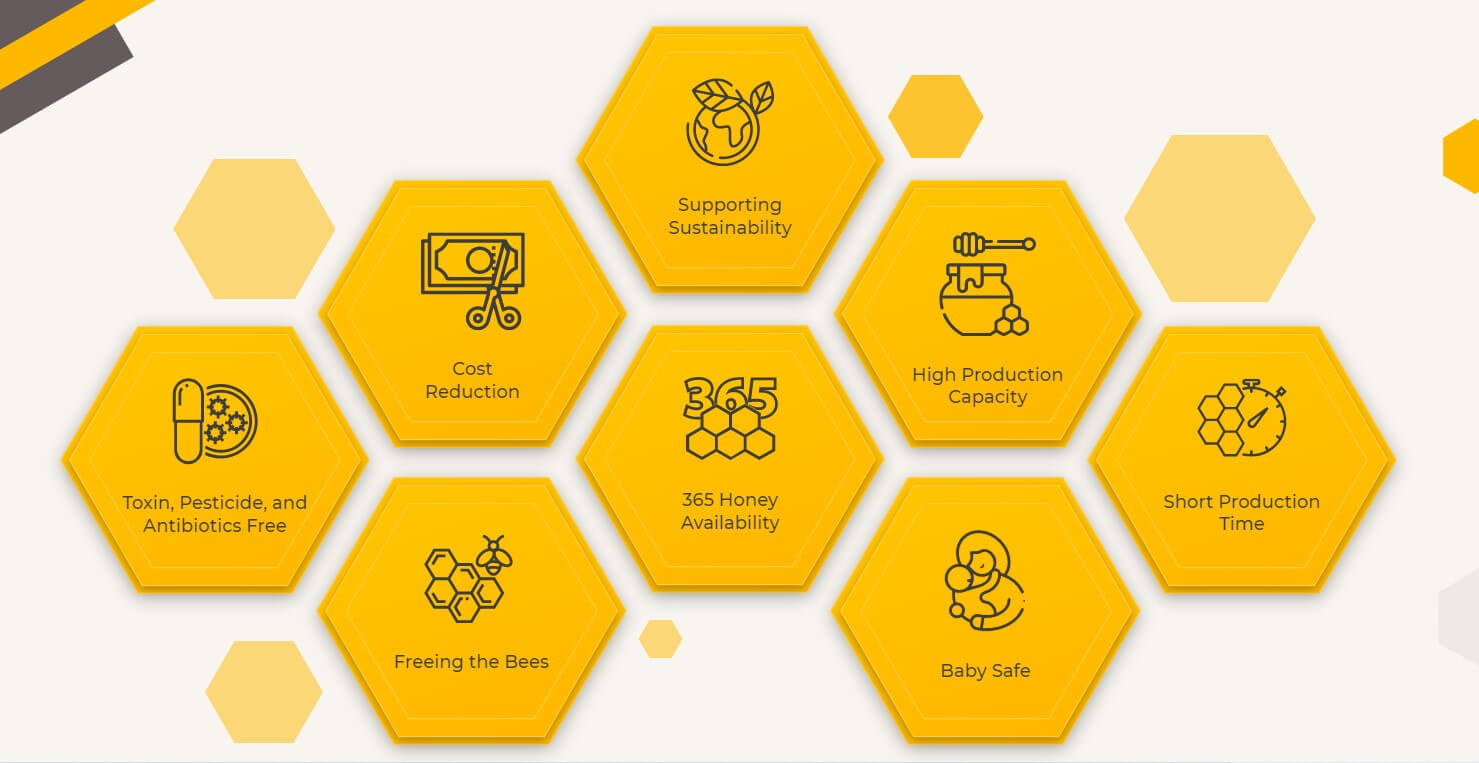graphic of the different elements of honey