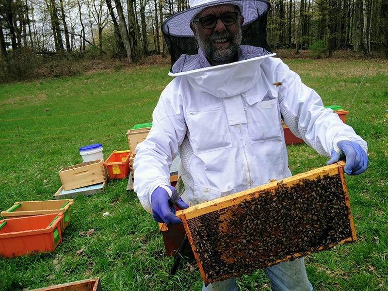 How to Choose Protective Beekeeping Gear